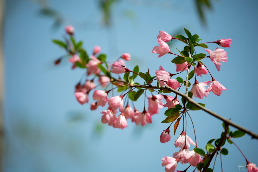 春暖花开3