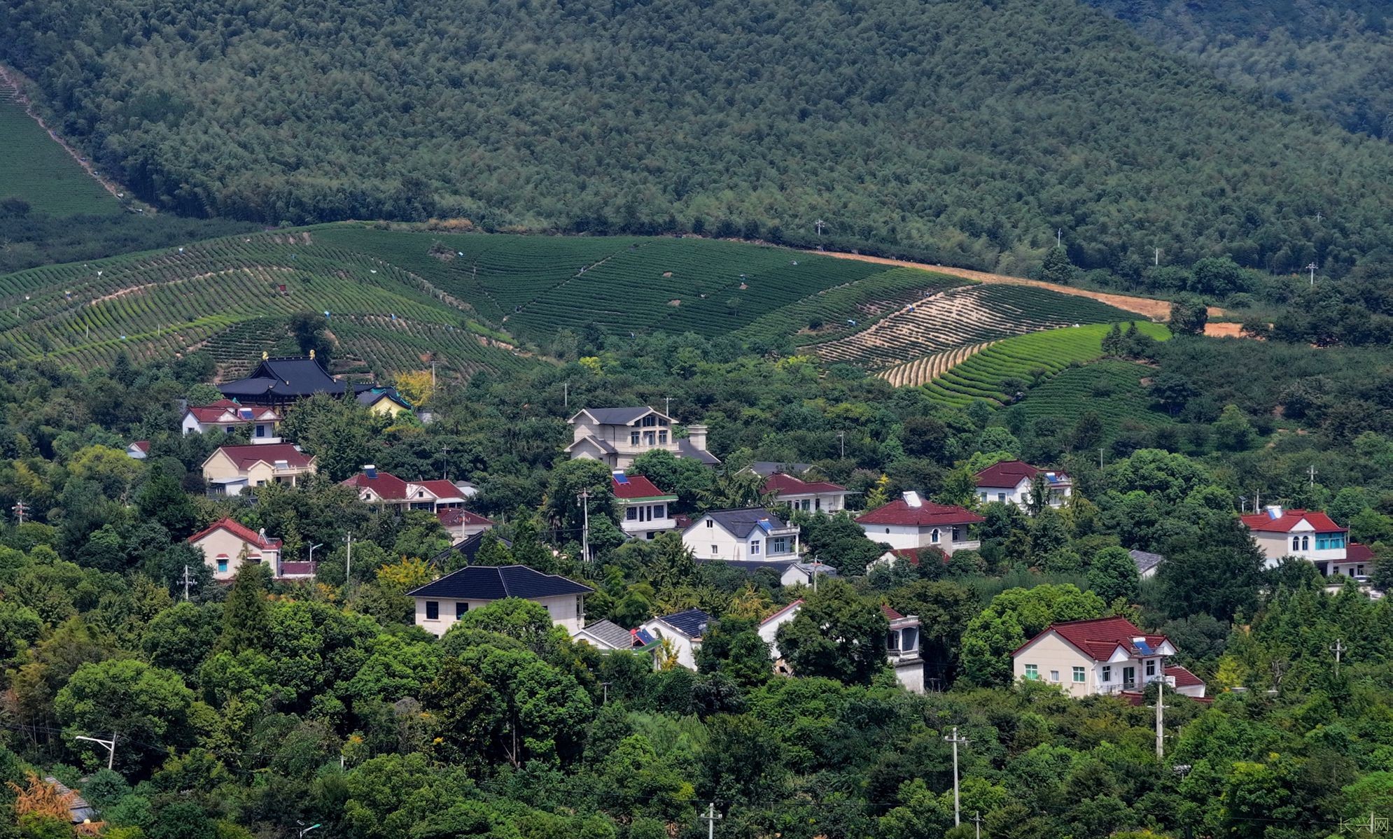 绿色山村 卫捷 18305922288.jpg