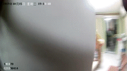 微信图片_20191018151944.gif