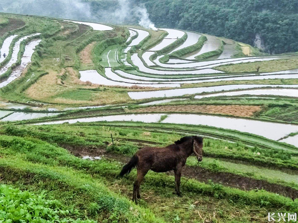 微信图片_20191208151749---.jpg