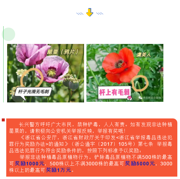 微信截图_20210427133130.png